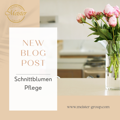 Schnittblumen Pflege: Tipps für langanhaltende Frische