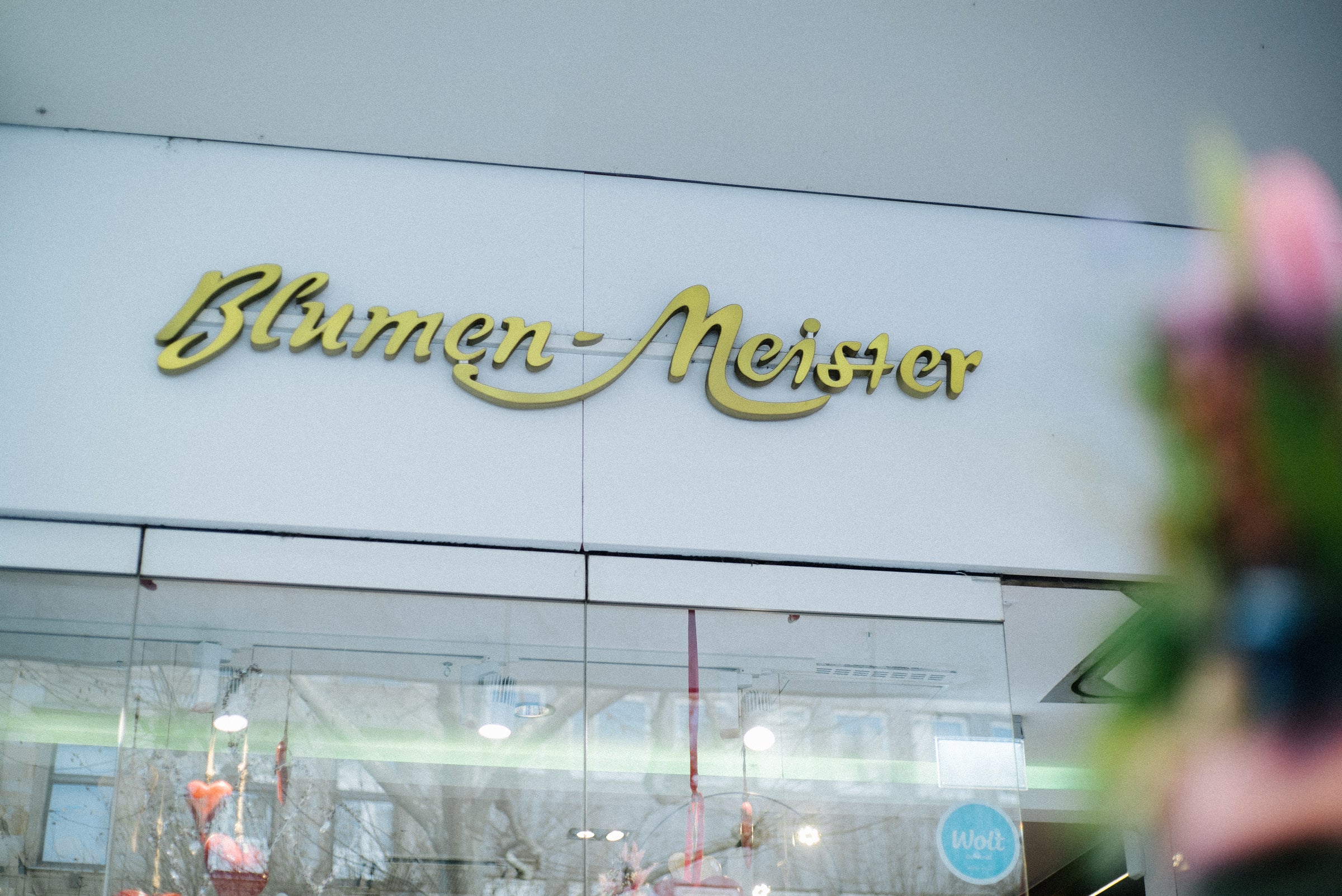Meister Group Frankfurt: Blumen-Meister Banner