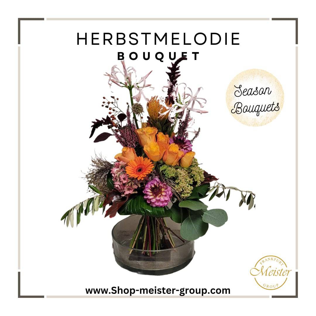 Herbstmelodie - Meister Group Frankfurt