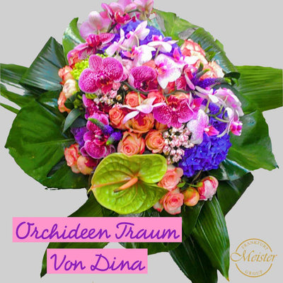 Orchideen Traum mit den Farben des Südens - Meister Group Frankfurt
