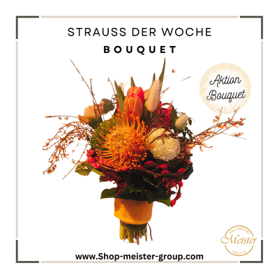 Strauss der Woche Meister´s Tulpen/Exoten Bouquet - Meister Group Frankfurt